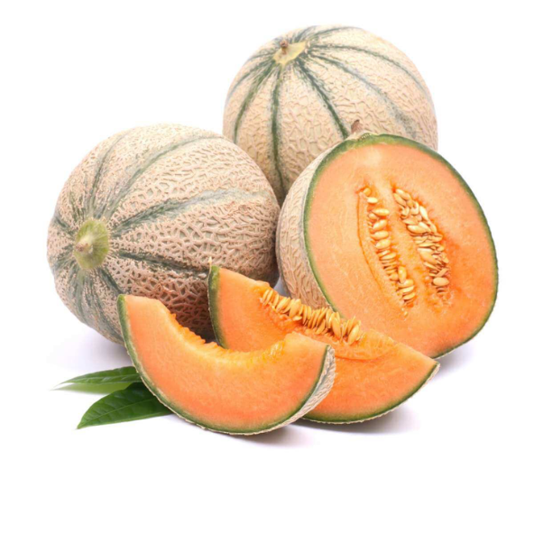 Melon contaloup